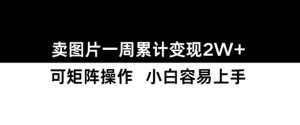 小红书【卖图片】一周累计变现2W+小白易上手-沐风资源库