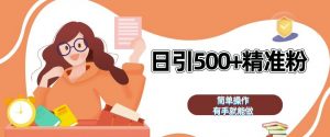 私域引流获客神器，全自动引流玩法日引 500+精准粉 加爆你的微信【揭秘】-沐风资源库