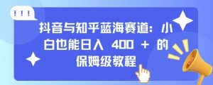 抖音与知乎蓝海赛道：小白也能日入 4张 的保姆级教程-沐风资源库