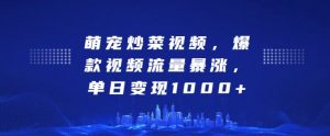 萌宠炒菜视频，爆款视频流量暴涨，单日变现1k-沐风资源库