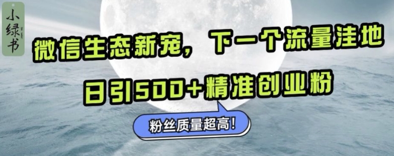 微信生态新宠小绿书：下一个流量洼地，日引500+精准创业粉，粉丝质量超高-沐风资源库