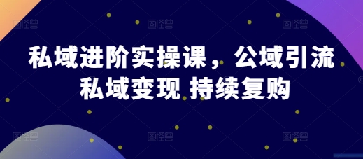 私域进阶实操课，公域引流 私域变现 持续复购-沐风资源库