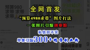 小红书“预算4980带我飞”图片打法，一张图片引爆创业粉，私信回不完，单条引流300+精准创业粉-沐风资源库