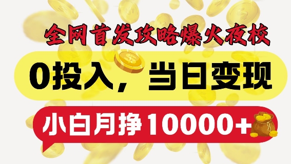 全网首发爆火夜校，0投入，当日变现，小白轻松月入1w+【揭秘】-沐风资源库
