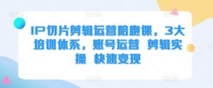 IP切片剪辑运营陪跑课，3大培训体系，账号运营 剪辑实操 快速变现-沐风资源库
