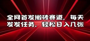 全网首发搬砖赛道，每天发发任务，轻松日入几张【揭秘】-沐风资源库