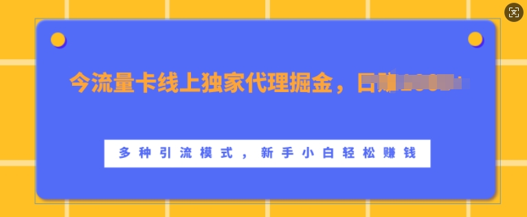 流量卡线上独家代理掘金，日入1k+ ，多种引流模式，新手小白轻松上手【揭秘】-沐风资源库