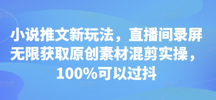 小说推文新玩法，直播间录屏无限获取原创素材混剪实操，100%可以过抖-沐风资源库
