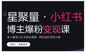 小红书博主爆粉变现课，深入解读小红书商业逻辑，带你进阶变现大咖-沐风资源库