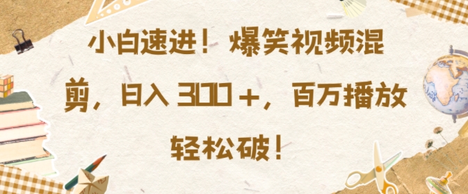 小白速进，爆笑视频混剪，日入3张，百万播放轻松破【揭秘】-沐风资源库