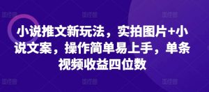 小说推文新玩法，实拍图片+小说文案，操作简单易上手，单条视频收益四位数-沐风资源库