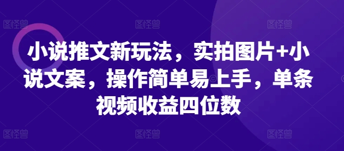 小说推文新玩法，实拍图片+小说文案，操作简单易上手，单条视频收益四位数-沐风资源库