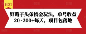 野路子头条撸金玩法，单号收益20~200+每天，项目包落地-沐风资源库