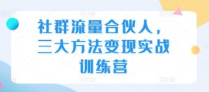 社群流量合伙人，三大方法变现实战训练营-沐风资源库