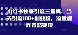 小红书独家引流三重奏，当天引流100+创业粉，流量爆炸不愁变现【揭秘】-沐风资源库