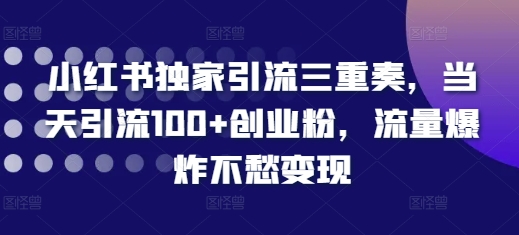 小红书独家引流三重奏,当天引流100+创业粉,流量爆炸不愁变现【揭秘】-沐风资源库