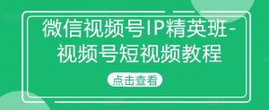 微信视频号IP精英班-视频号短视频教程-沐风资源库