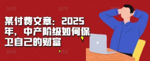 某付费文章：2025年，中产阶级如何保卫自己的财富-沐风资源库