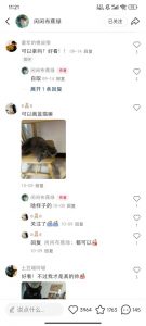 小红书私人定制图项目，附赠一单4W渠道【揭秘】-沐风资源库