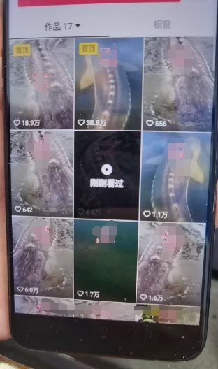 外面卖399的国学佛像原创暴力起号技术，快速起号，7天可达到一个万粉号-沐风资源库