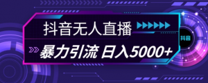 抖音快手视频号全平台通用无人直播引流法，利用图片模板和语音话术，暴力日引流100+创业粉【揭秘】-沐风资源库