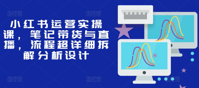 小红书运营实操课，笔记带货与直播，流程超详细拆解分析设计-沐风资源库