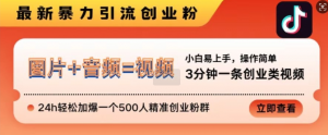 抖音最新暴力引流创业粉，3分钟一条创业类视频，24h轻松加爆一个500人精准创业粉群【揭秘】-沐风资源库