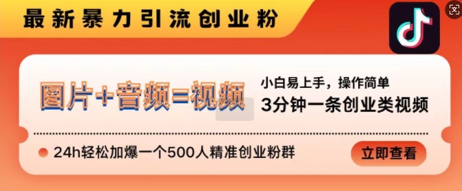 抖音最新暴力引流创业粉，3分钟一条创业类视频，24h轻松加爆一个500人精准创业粉群【揭秘】-沐风资源库