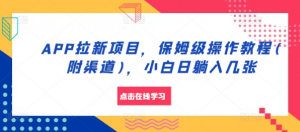 APP拉新项目，保姆级操作教程(附渠道)，小白日躺入几张【揭秘】-沐风资源库