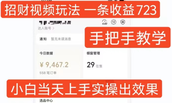 招财视频玩法，一条视频收益723，手把手教学，小白当天可上手-沐风资源库