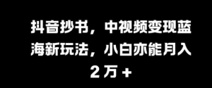 抖音抄书，中视频变现蓝海新玩法，小白亦能月入 过W【揭秘】-沐风资源库