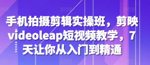 手机拍摄剪辑实操班，剪映videoleap短视频教学，7天让你从入门到精通-沐风资源库