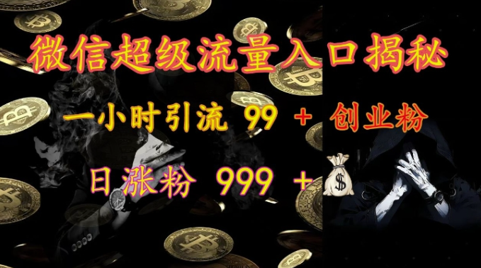 微信超级流量入口揭秘：一小时引流 99 + 创业粉，日涨粉 999 +-沐风资源库