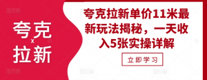夸克拉新单价11米最新玩法揭秘，一天收入5张实操详解-沐风资源库