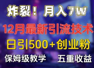 炸裂!揭秘12月最新日引流500+精准创业粉，多重收益保姆级教学-沐风资源库
