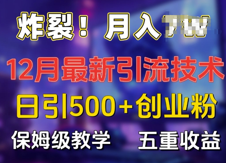 炸裂!揭秘12月最新日引流500+精准创业粉，多重收益保姆级教学-沐风资源库