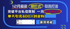 12月最新“摆烂式”引流打法，突破平台私信限制，一天无限发私信，单天引流400+创业粉-沐风资源库