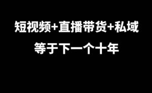 短视频+直播带货+私域等于下一个十年，大佬7年实战经验总结-沐风资源库