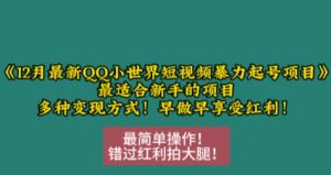 12月最新QQ小世界短视频暴力起号项目，最适合新手的项目，多种变现方式-沐风资源库
