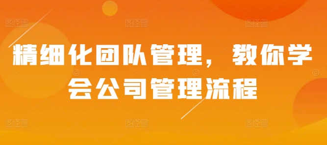 精细化团队管理，教你学会公司管理流程-沐风资源库