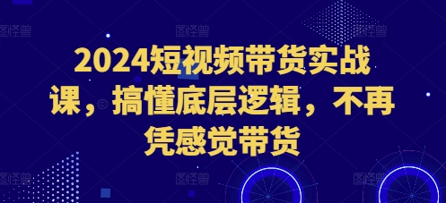 2024短视频带货实战课，搞懂底层逻辑，不再凭感觉带货-沐风资源库