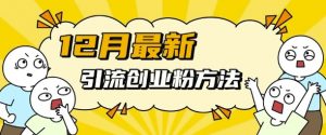 12月最新引流创业粉方法，方法非常简单，适用于多平台-沐风资源库