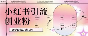 小红书私域引流无脑操作法：AI生成内容，粉丝自动转化，新手轻松日引500+创业粉-沐风资源库
