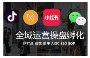 全域运营操盘(抖音+私域+小红书)，IP打造高效简单-沐风资源库