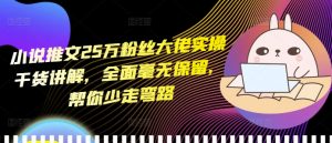 小说推文25万粉丝大佬实操干货讲解，全面毫无保留，帮你少走弯路-沐风资源库