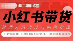 小Red书带货42天训练营 2.0版，宝妈+自由职+上班族+大学生，提高副业收入的大红利项目-沐风资源库