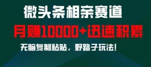 微头条相亲赛道，迅速积累，无脑复制粘贴，野路子玩法，月入1w-沐风资源库