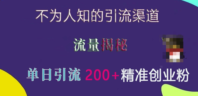 不为人知的引流渠道，流量揭秘，实测单日引流200+精准创业粉【揭秘】-沐风资源库