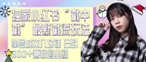 最新小红书截流玩法 独家截中截 单号成本几块钱 日引500+CY粉JZ粉-沐风资源库
