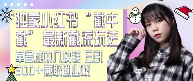 最新小红书截流玩法 独家截中截 单号成本几块钱 日引500+CY粉JZ粉-沐风资源库